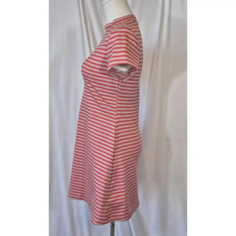 Free People Beach On The Line Mock Neck Pink Gray Striped Mini Dress XS